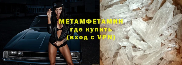 сатива Новодвинск