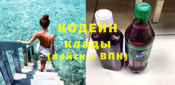 сатива Новодвинск