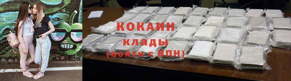 сатива Новодвинск