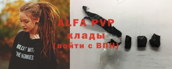 сатива Новодвинск