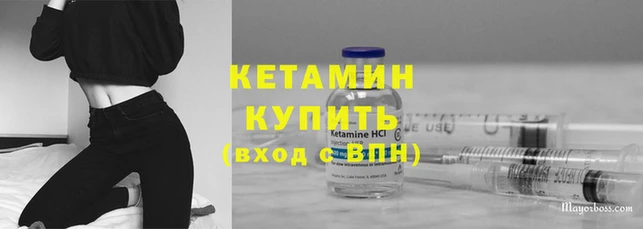 сатива Новодвинск