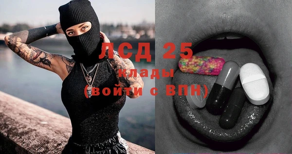 сатива Новодвинск