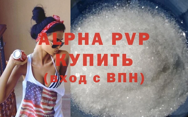 сатива Новодвинск