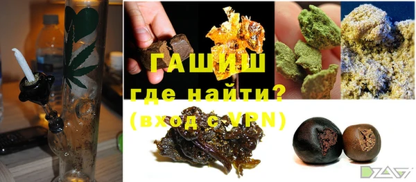 сатива Новодвинск