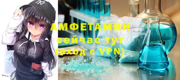 сатива Новодвинск