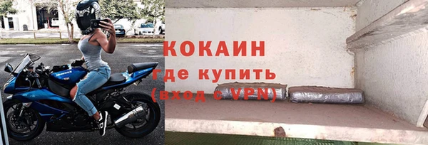 сатива Новодвинск