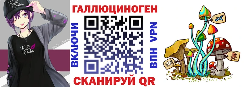 kraken зеркало  Нижняя Тура  Псилоцибиновые грибы Cubensis 